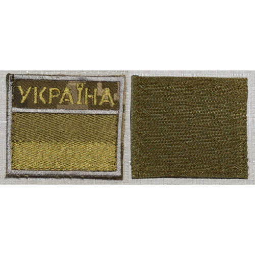 Прапор прикордонників (ДПСУ) на липучці піксель