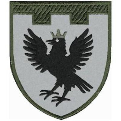 Шеврон ТРО 102 Бр (Ивано-Франковская обл)  оливковый