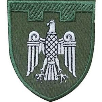 Шеврон ТРО 107 Бр (Чернівецька обл) оливковий