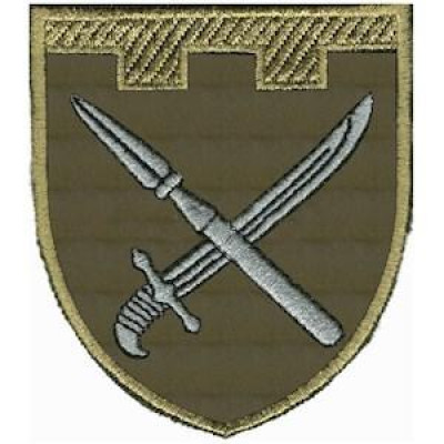 Шеврон ТРО 109 Бр (Донецька обл) оливковий