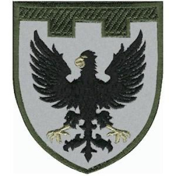 Шеврон ТРО 119 Бр (Чернігівська обл) оливковий