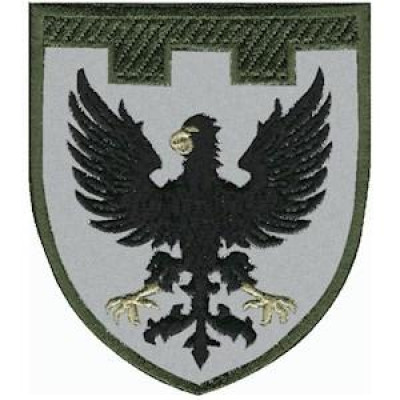 Шеврон ТРО 119 Бр (Чернігівська обл) оливковий