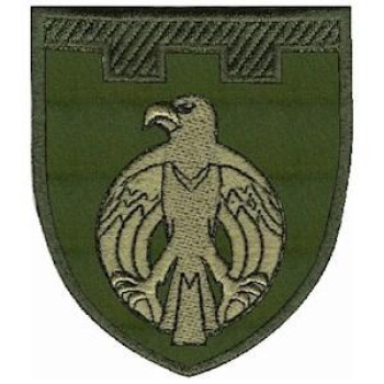 Шеврон ТРО 121 Бр (Кіровоградська обл) оливковий