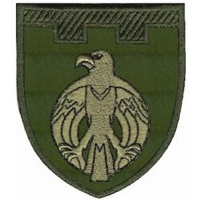 Шеврон ТРО 121 Бр (Кіровоградська обл) оливковий