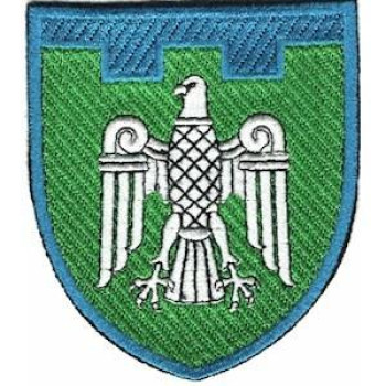 Шеврон ТРО 107 Бр (Чернівецька обл) кольоровий