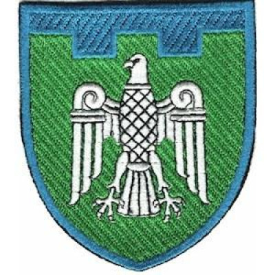 Шеврон ТРО 107 Бр (Чернівецька обл) кольоровий