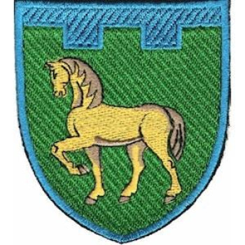 Шеврон ТРО 111 Бр (Луганська обл) кольоровий