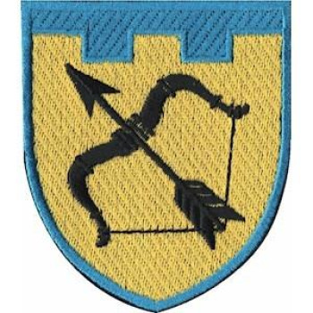 Шеврон ТРО 113 Бр (Харківська обл)  кольоровий