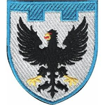 Шеврон ТРО 119 Бр (Чернігівська обл)  кольоровий