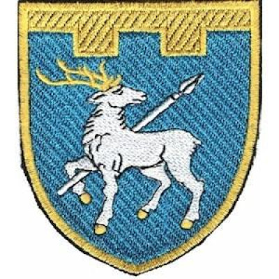 Шеврон ТРО 123 Бр (Миколаївська обл)  кольоровий