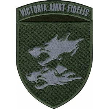Шеврон 38 ОБрМП "Victoria Amat Fidelis" оливковий