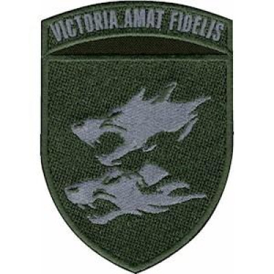 Шеврон 38 ОБрМП "Victoria Amat Fidelis" оливковий