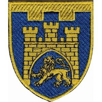 Шеврон ТРО 125 Бр (м. Львів)  кольоровий