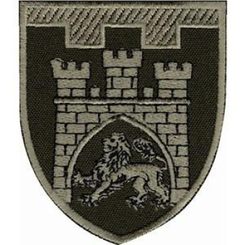 Шеврон ТРО 125 Бр (м. Львів) оливковий