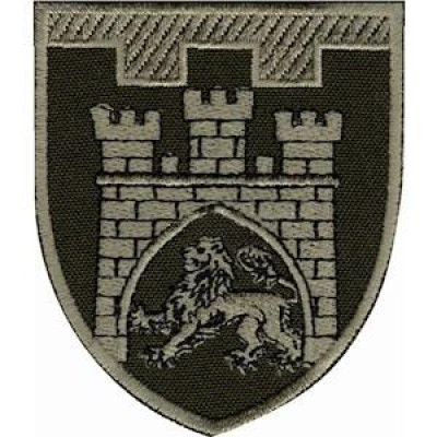 Шеврон ТРО 125 Бр (м. Львів) оливковий