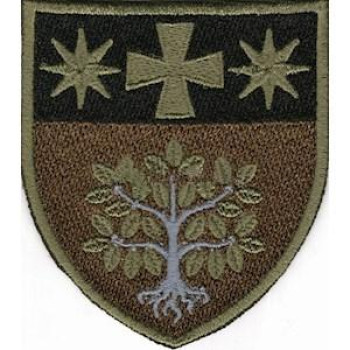 Шеврон в\ч А4823 олива