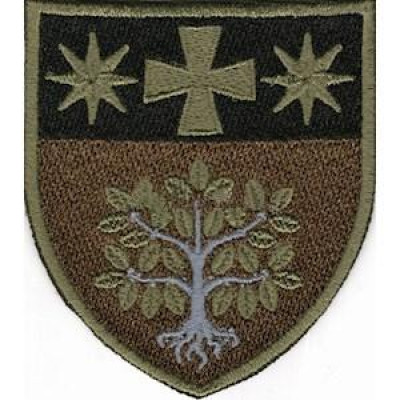 Шеврон в\ч А4823 олива