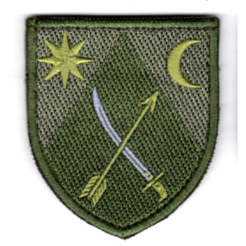 Шеврон 151 ОМБр оливковий
