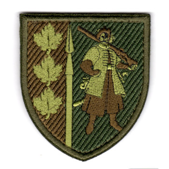 Шеврон 65 ОМБр олива