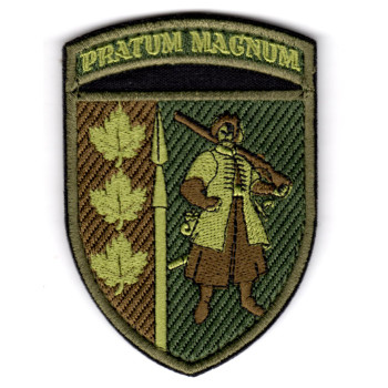 Шеврон 65 ОМБр "Pratum magnum" олива