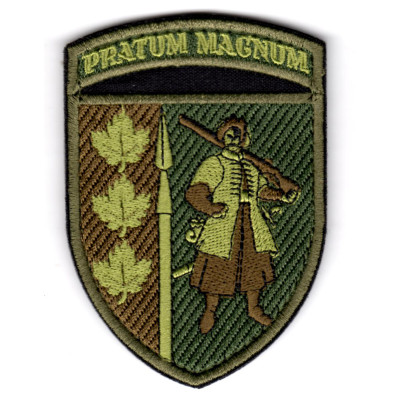 Шеврон 65 ОМБр "Pratum magnum" олива