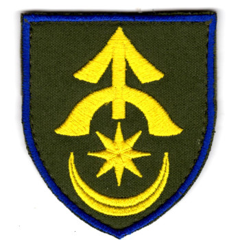 Шеврон 31 ОМБр кольоровий