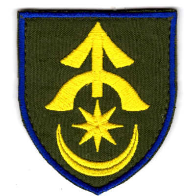 Шеврон 31 ОМБр кольоровий