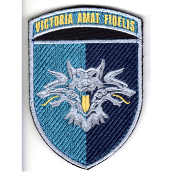Шеврон 38 ОБрМП "Victoria Amat Fidelis" кольоровий