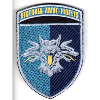 Шеврон 38 ОБрМП "Victoria Amat Fidelis" кольоровий