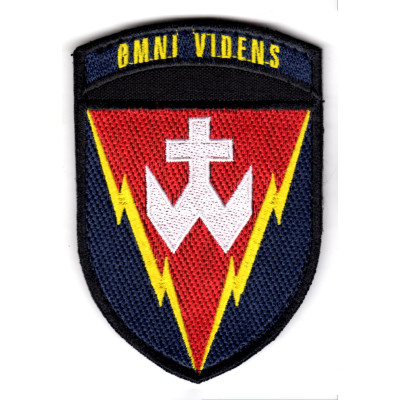Шеврон 14 РТБр Omni Videns кольоровий