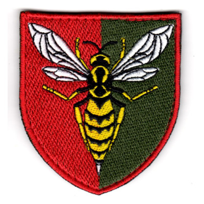 Шеврон 38 ЗРП кольоровий