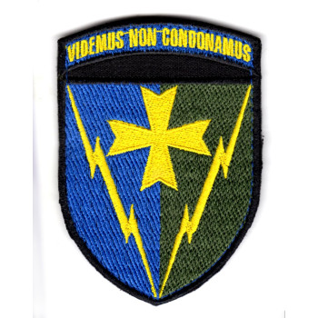 Шеврон 164 РТБр Videmus Non Condonamus кольоровий