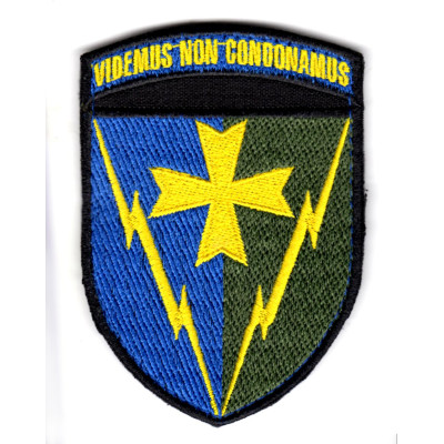 Шеврон 164 РТБр Videmus Non Condonamus кольоровий